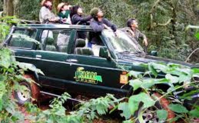 safari,Safari de la Cascada, Puerto Iguazú